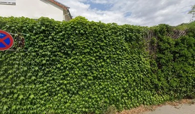 Markus Kehl Notariat 1 markus kehl notariat notar nieder olm