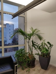 Notar Torsten A. Heybey