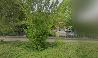 Sabine Kintea Rechtsanwältin und Notarin